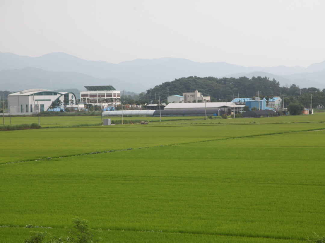 Gochang Dolmen Museum-高敞郡必去景点