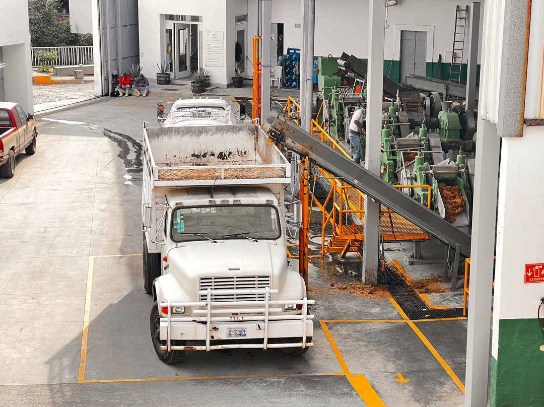 Casa Salles Hotel Boutique主图