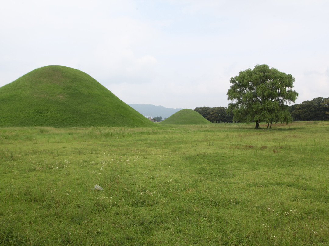 Daereungwon Tomb Complex景点图片