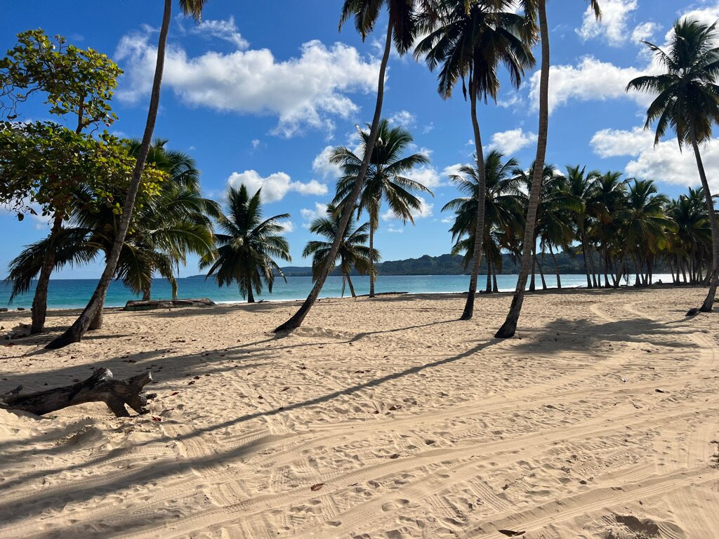 Gregory Tours Samana-Santa Barbara de Samana必去景点
