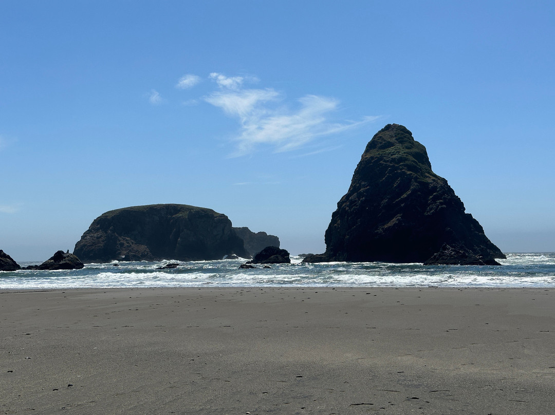 Whaleshead Viewpoint-布鲁金斯必去景点