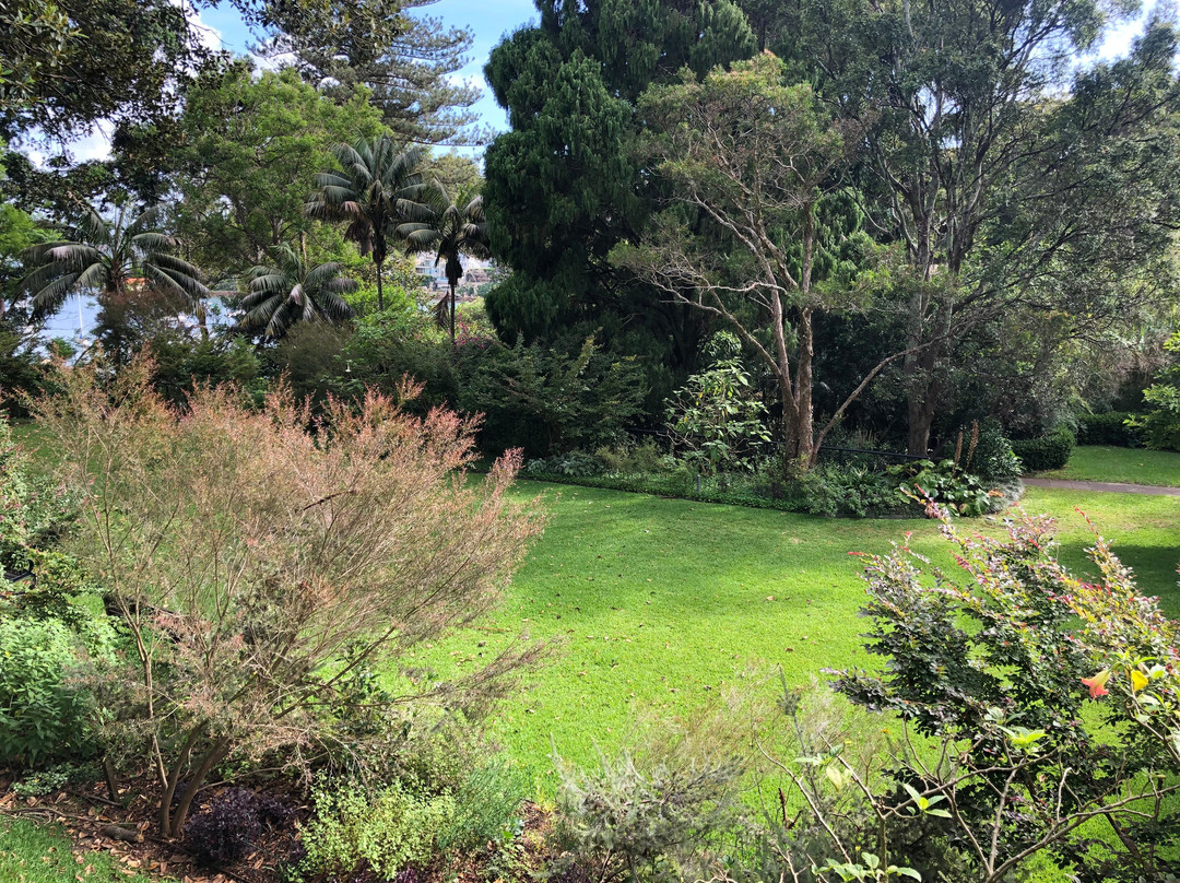Blackburn Gardens-Double Bay必去景点