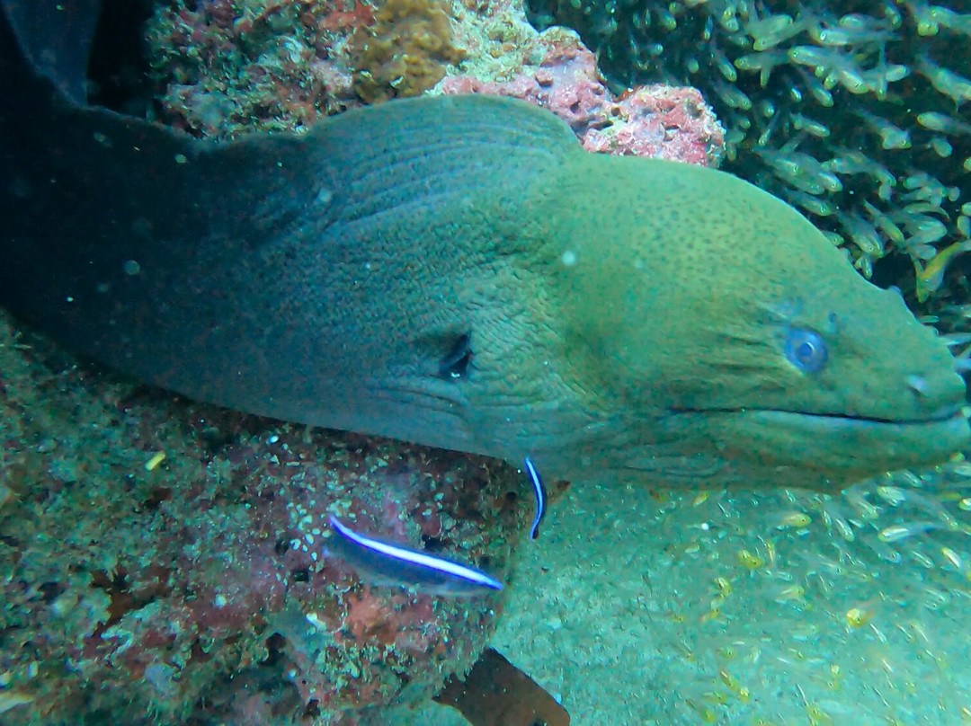 TGI Fasmendhoo-Fasmendhoo必去景点