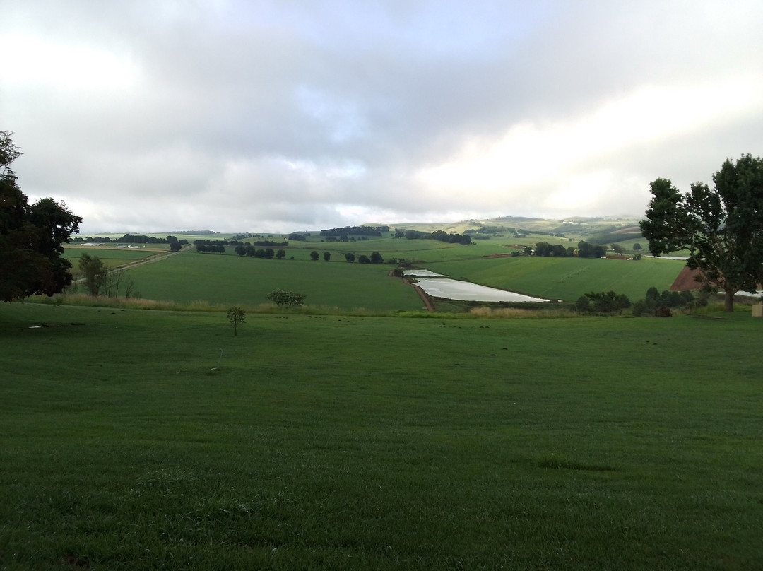 Midlands Saddle & Trout Resort主图