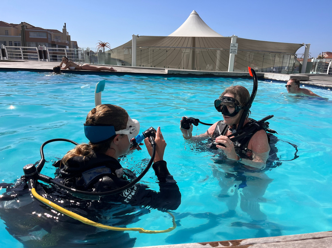 Just Africa Scuba PTY LTD-高登湾必去景点