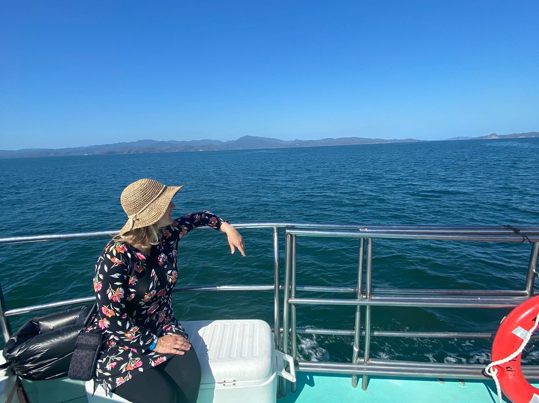 Bay Island Cruises - Day Tours景点图片