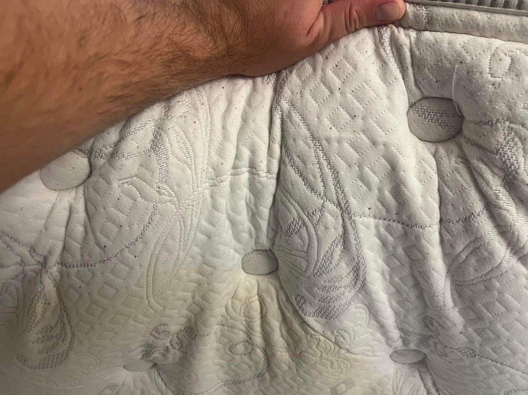 Holiday Inn Baton Rouge College Drive I-10 by IHG主图