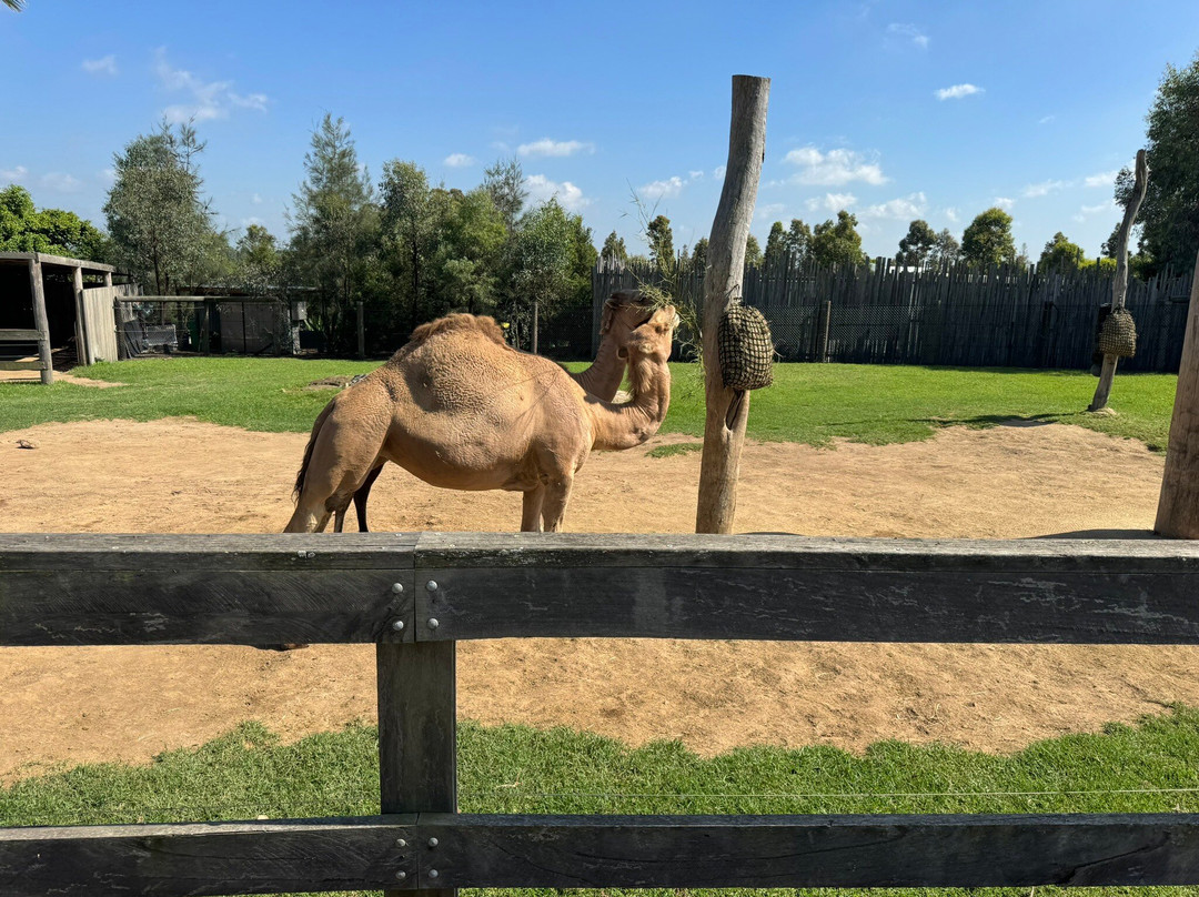 奥兹环山游-悉尼必去景点