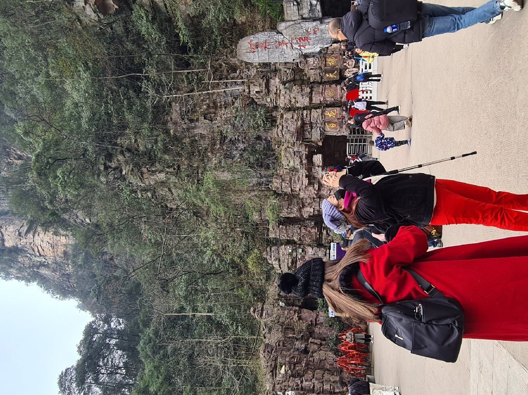 百龙观光电梯-张家界市必去景点