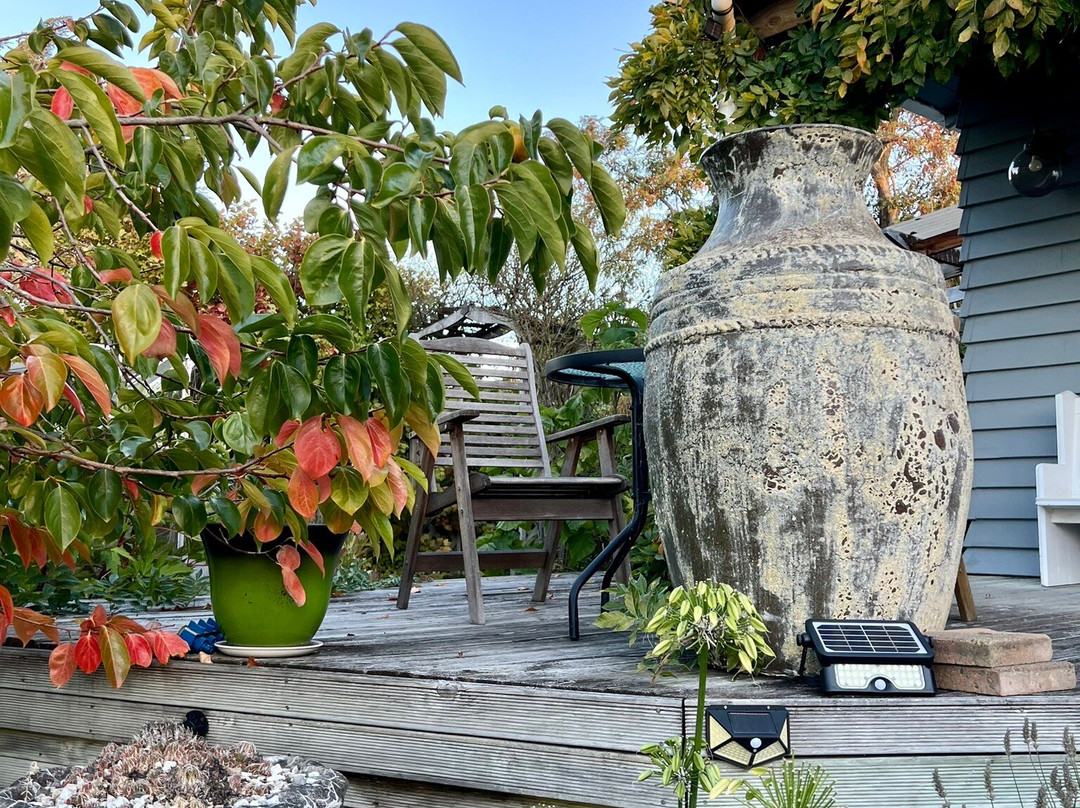 Olde Mill House B & B & Cycle Hire主图