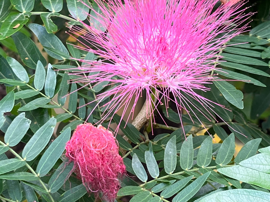 El Nispero Zoo and Botanical Garden景点图片