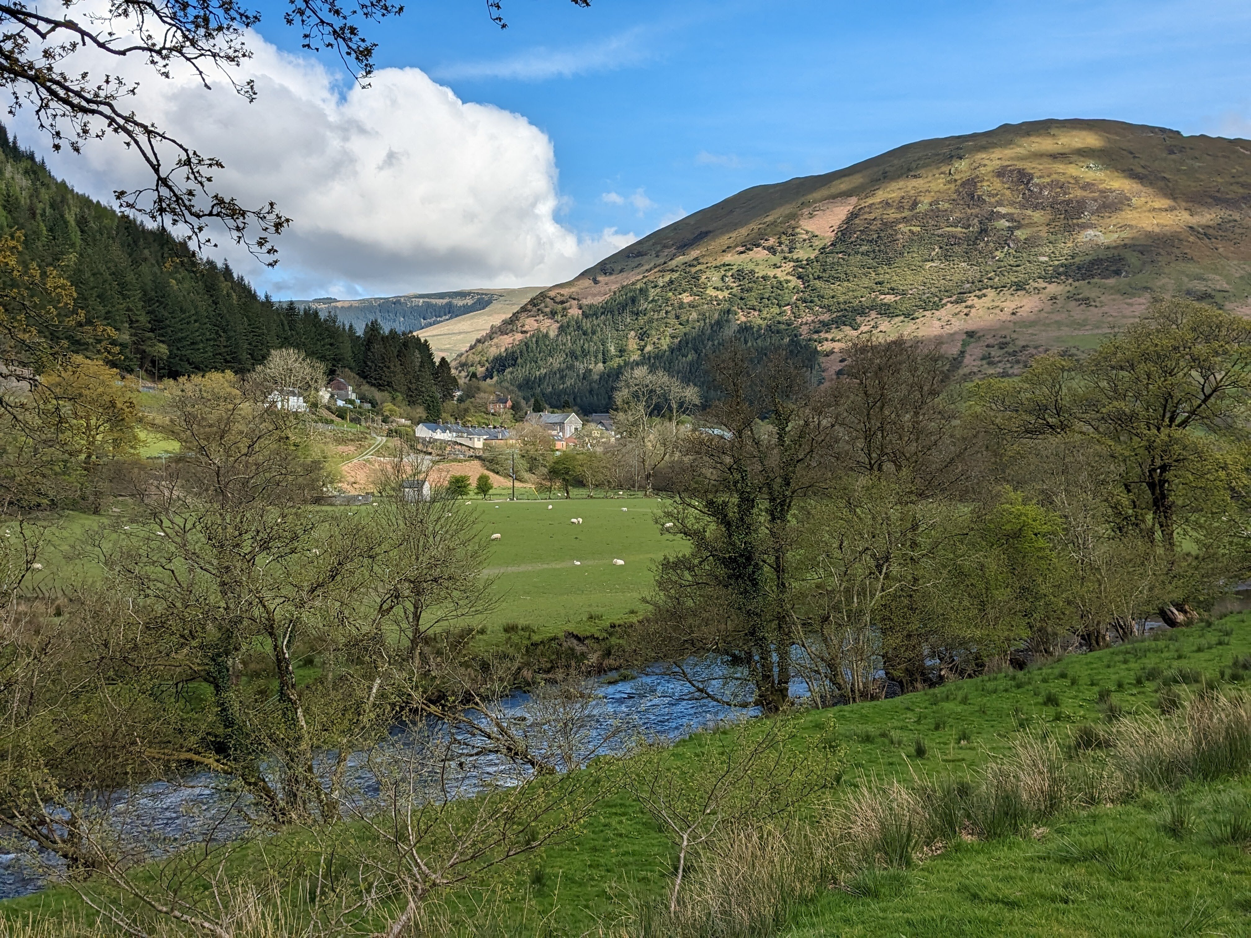 Buckley Arms Hotel-酒店景观