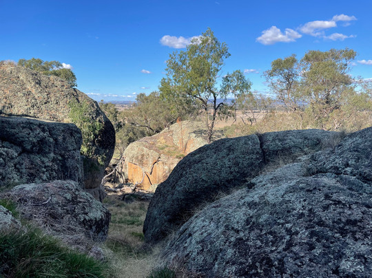 Morgan's Lookout-Walla Walla必去景点