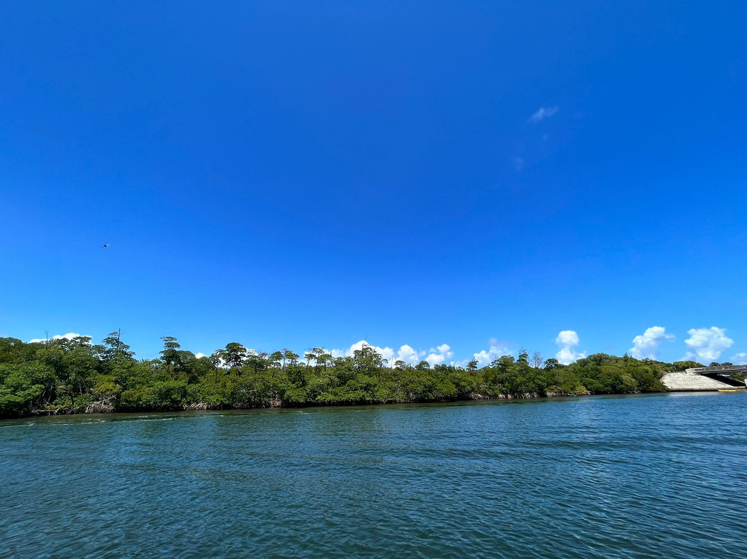 Dr. Von D. Mizell-Eula Johnson State Park-达尼亚滩必去景点