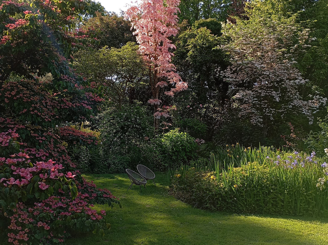 Jardin des Lianes景点图片