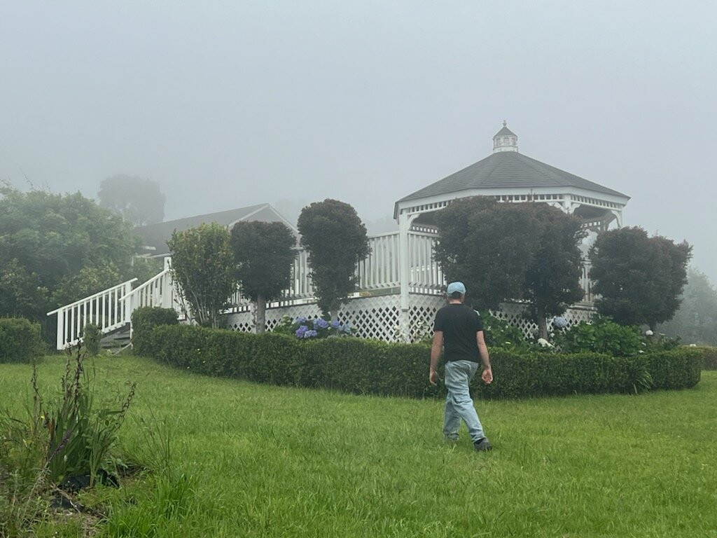 Maui Tea Farm-库拉必去景点