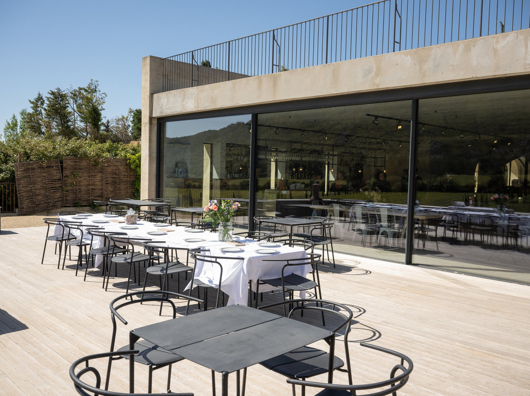 Domaine Oddo Vallon Des Glauges景点图片