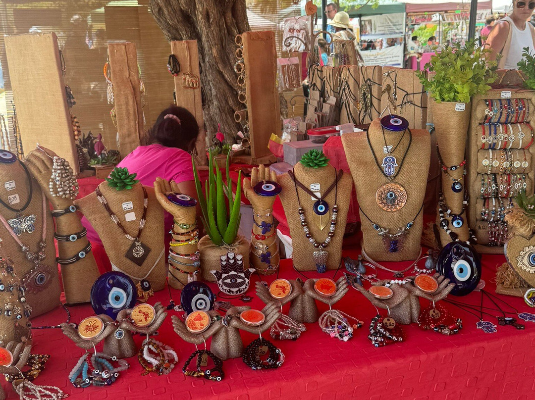 Bonaire Arts and Crafts Cruise Market-Kralendijk必去景点