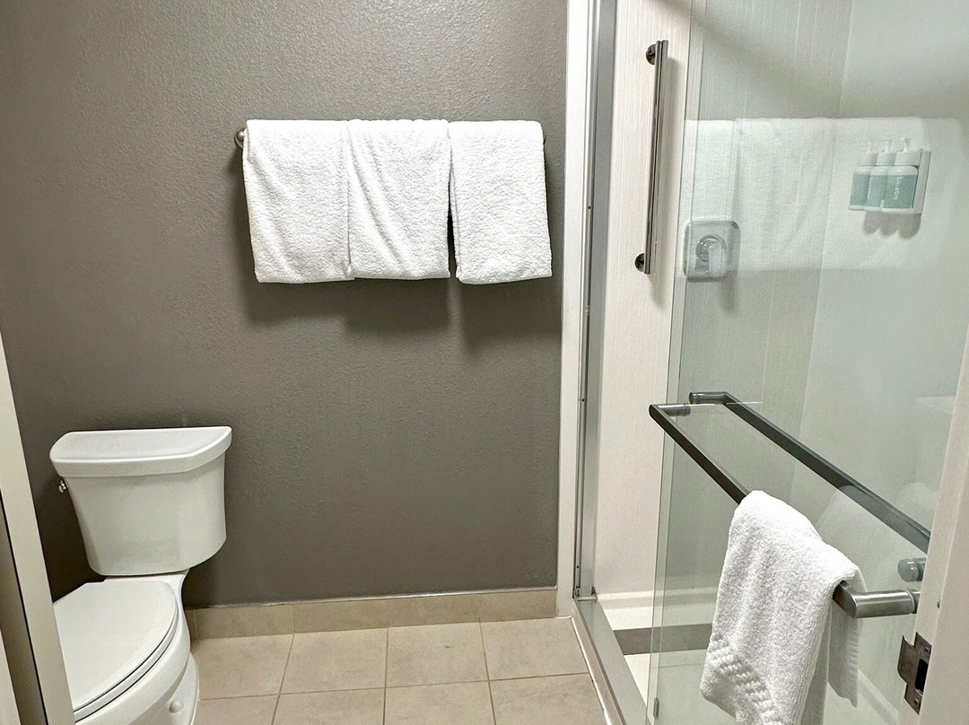 Courtyard by Marriott Raleigh Cary主图