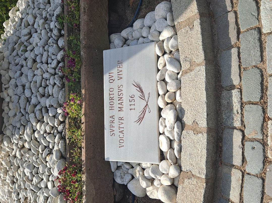 Masia Can Viver - Olive Oil Tourism B&b景点图片