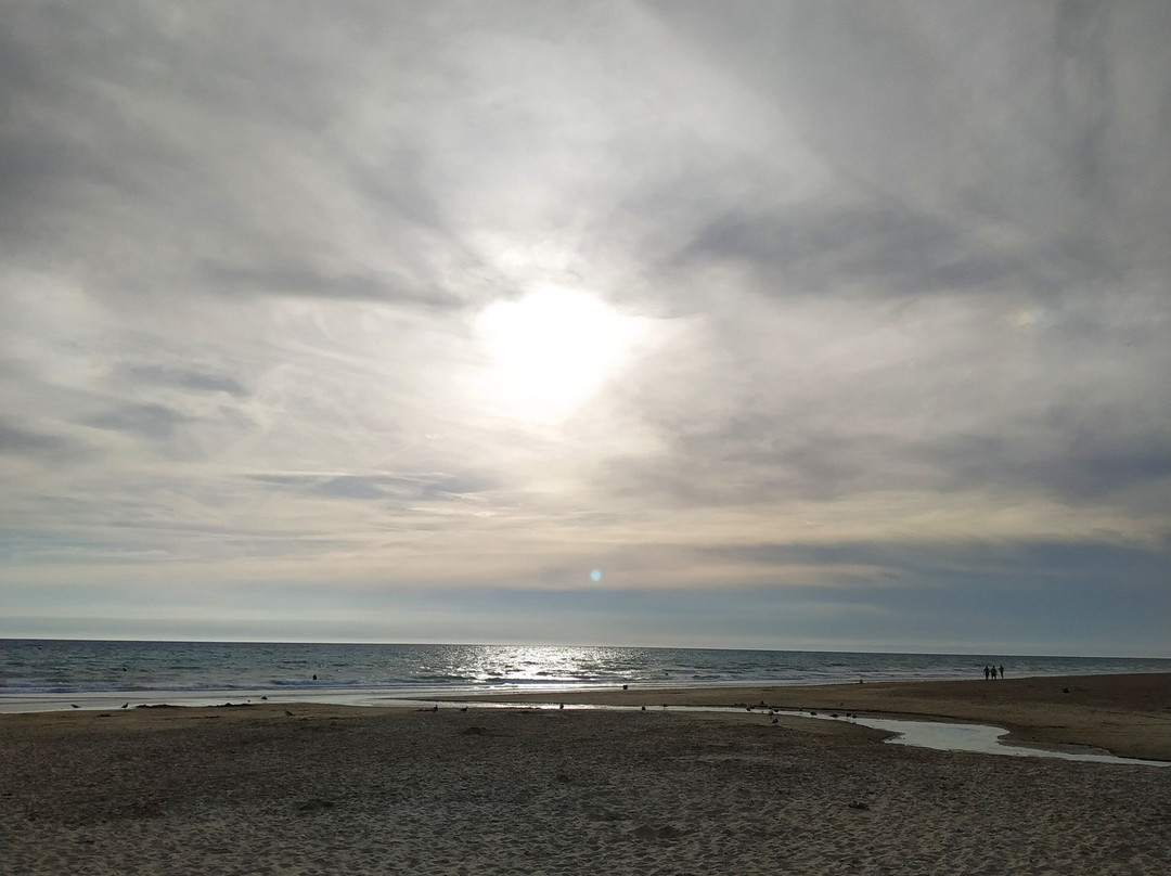 Playa De Costa Ballena景点图片