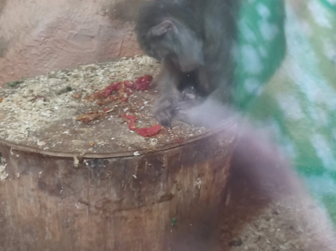 Crocodile Farm-Golubitskaya必去景点