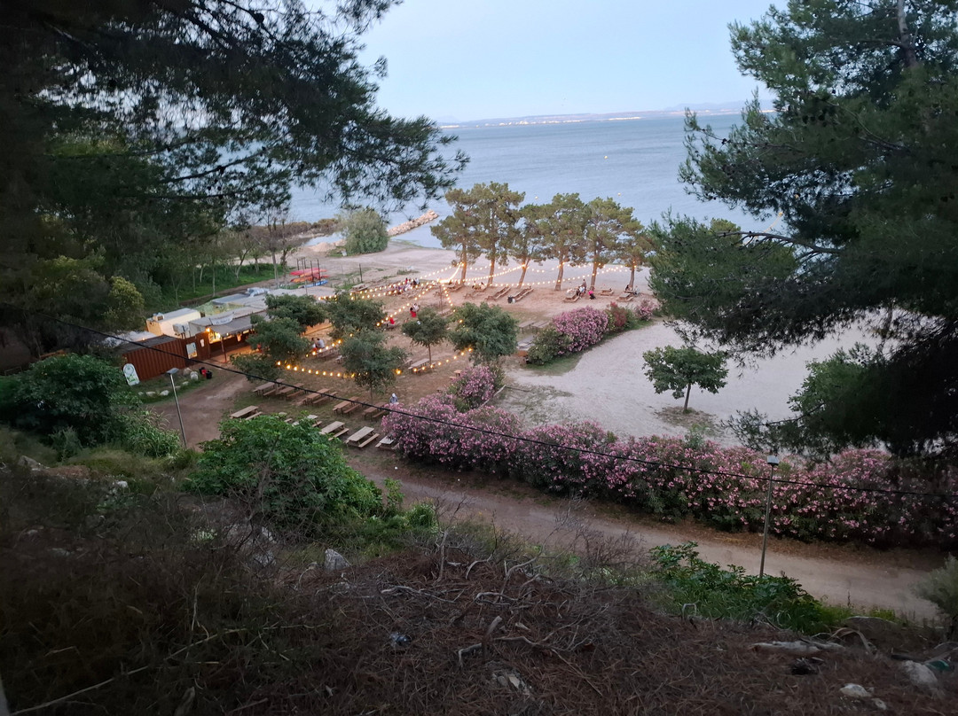 Plage de la Romaniquette景点图片