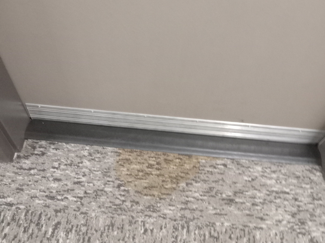 Avid Hotel Fort Wayne North By Ihg主图