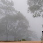 Singell Homestay主图