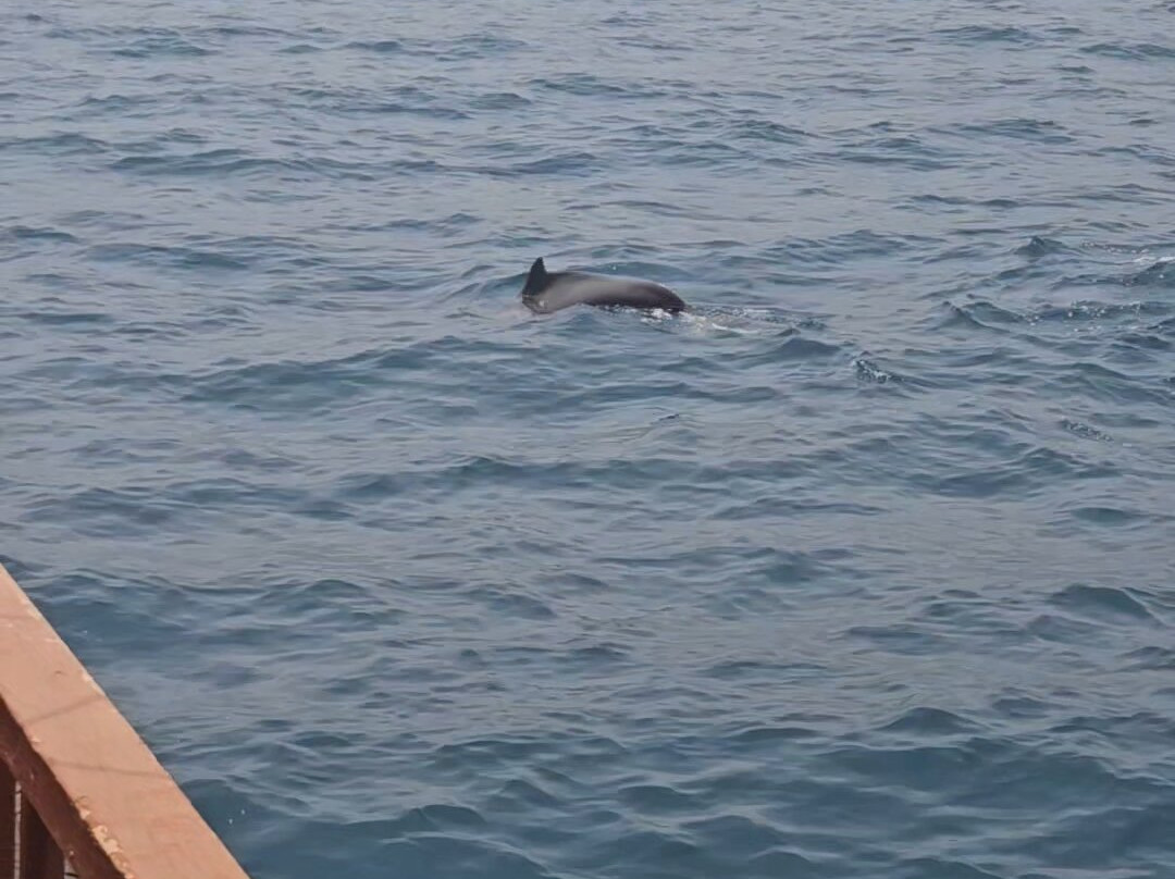 Khasab Sea Tours-海塞卜必去景点