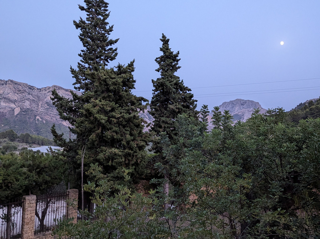 Hotel Villa Lehmi主图