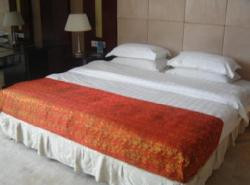 阿克苏国际大酒店主图