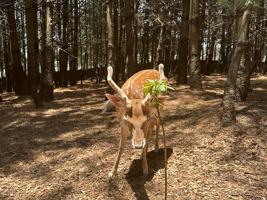 Rancho Magico-墨西哥城必去景点
