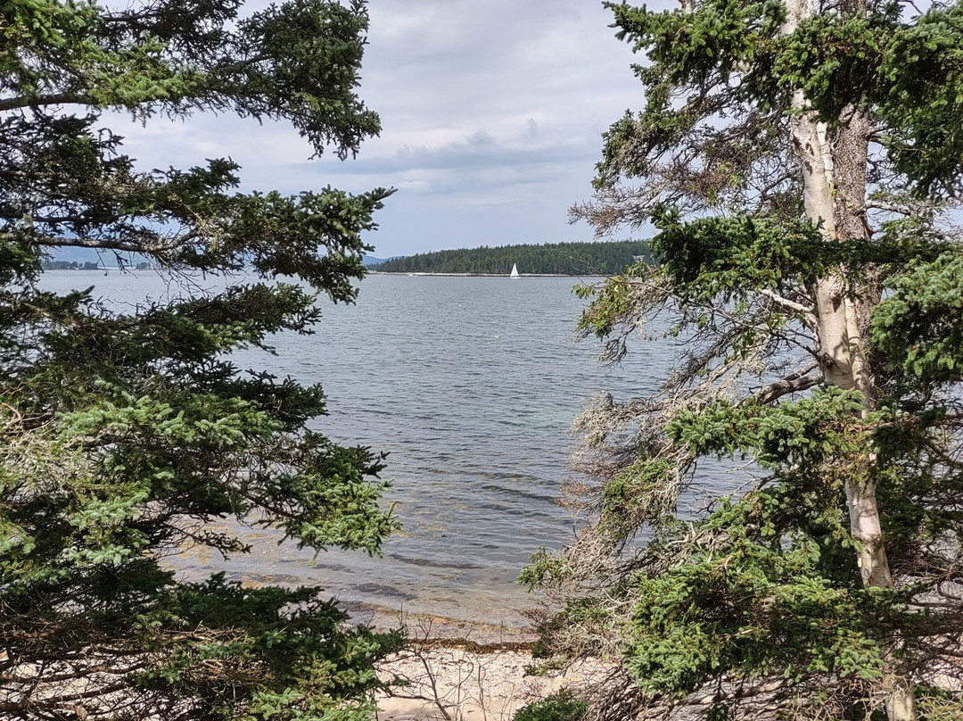Sea Schoodic Kayak & Bike景点图片