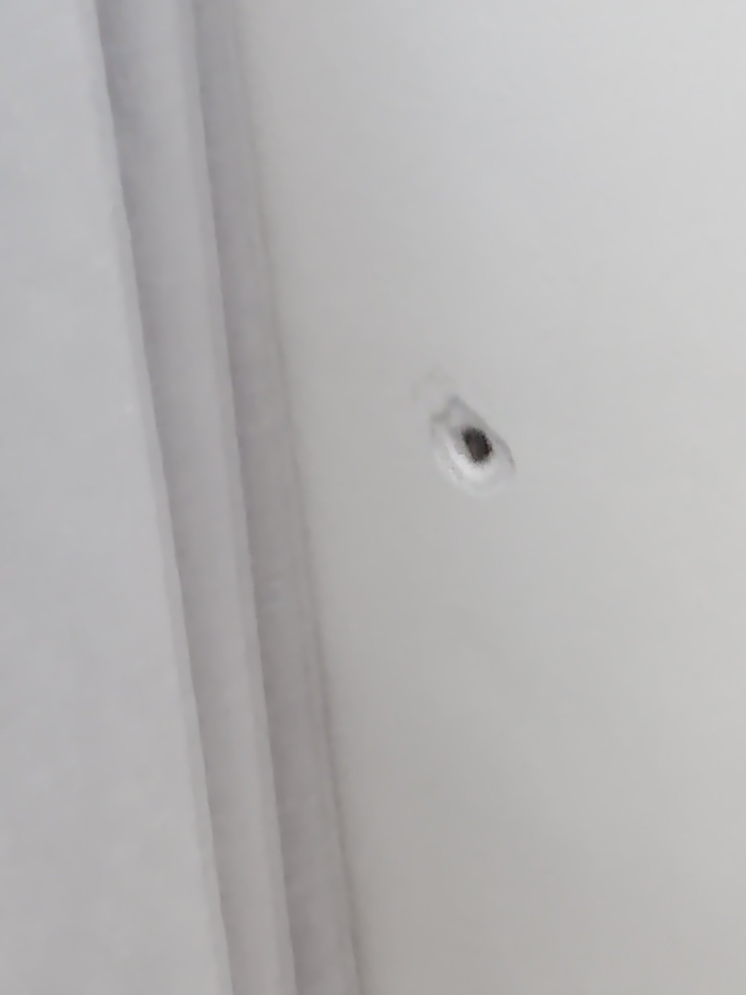 Thalassies Nouveau-官方