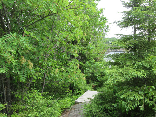 Marine Environment Discovery Centre-Les Escoumins必去景点