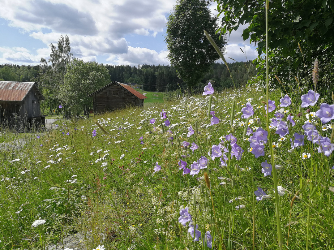 Eidskog Museum-Kongsvinger必去景点