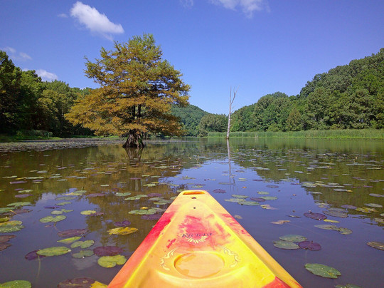 Rock Town River Outfitters-小石城必去景点