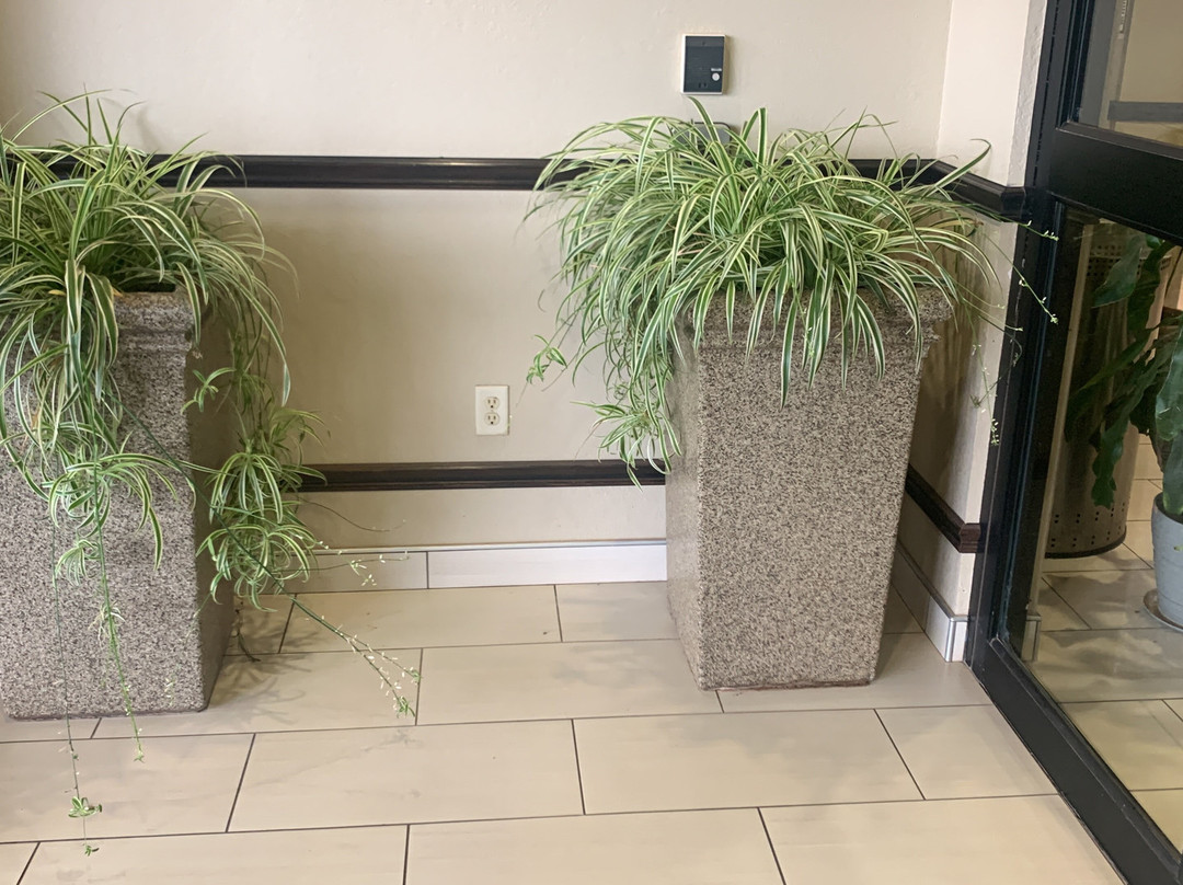 Best Western Plus Executive Residency Elk City主图