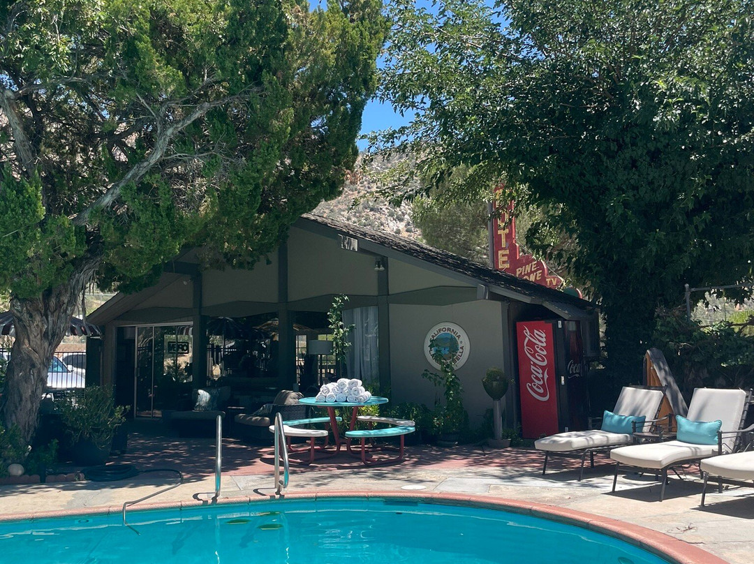 Piazza's Pine Cone Inn主图