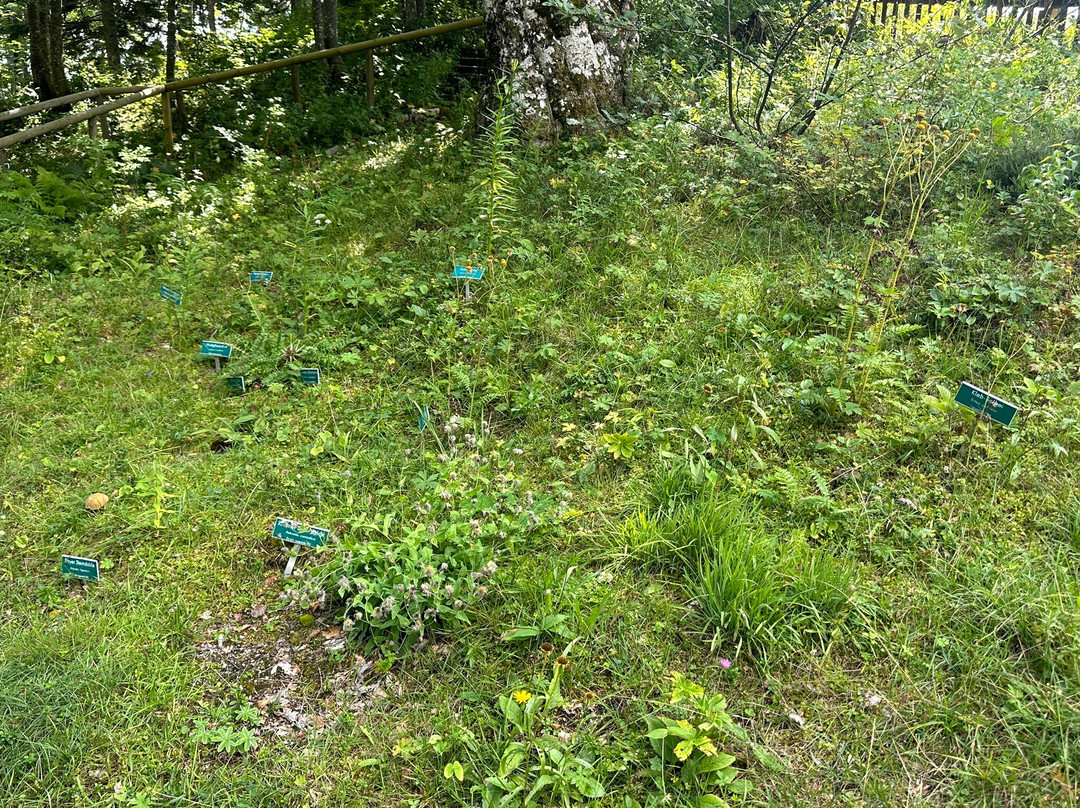 菲拉赫阿尔卑斯山之路景点图片