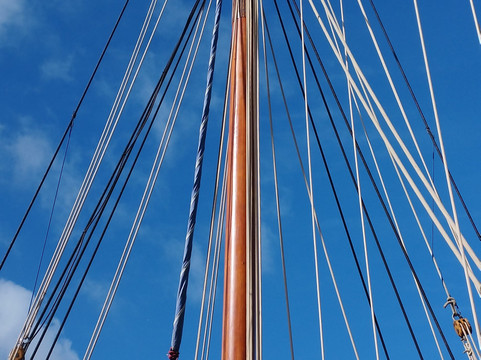 Au Gré Des Vents - Sorties En Mer Sur Vieux Gréements-费康必去景点