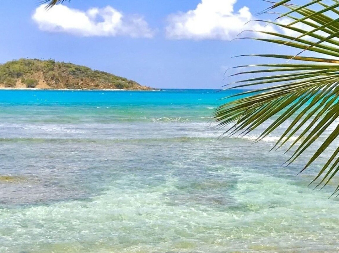 Full & Half day tours with Jeep Surfari-圣 托马斯必去景点