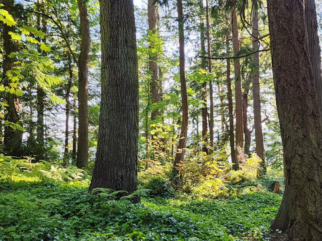 Kayak Point Regional County Park-Stanwood必去景点