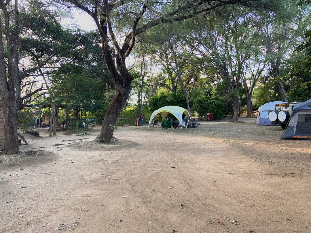 Chogela Safari Camp主图