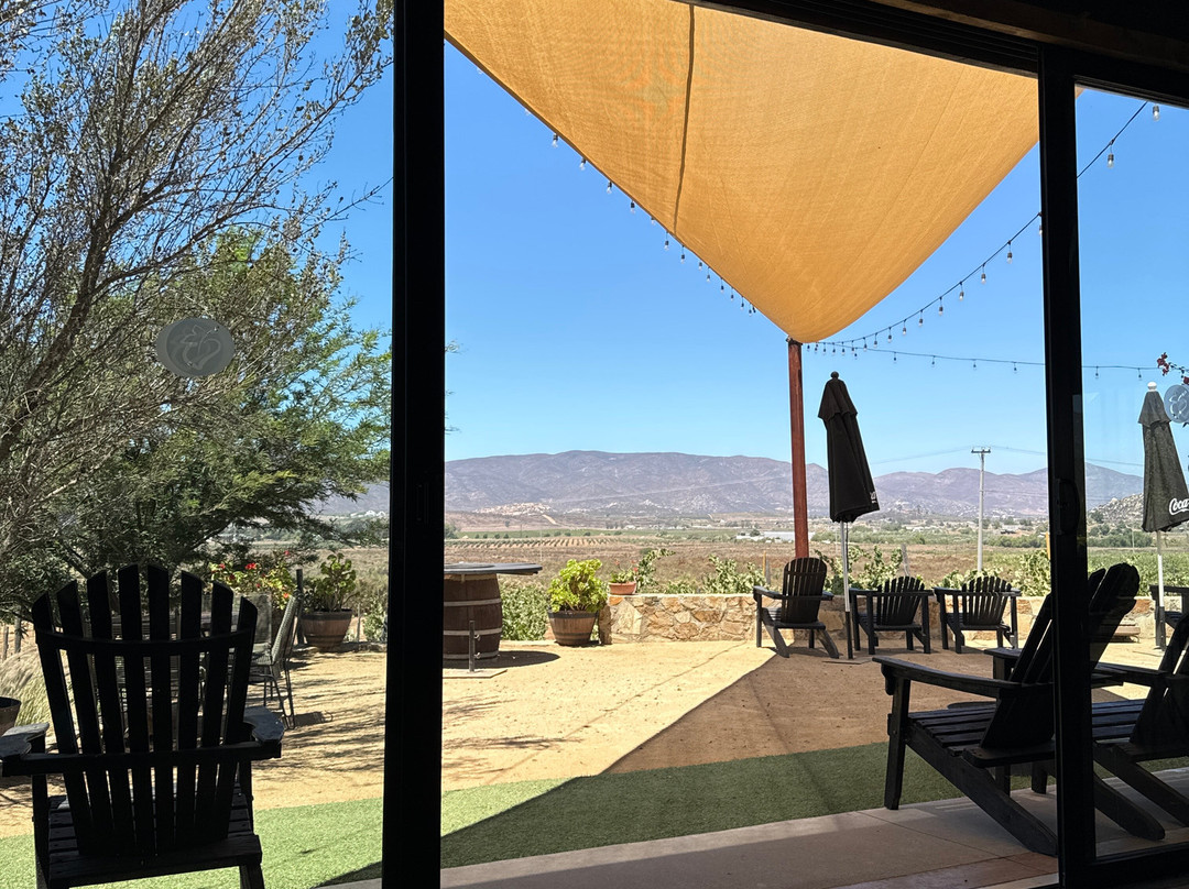 Xecue Vinicola-Valle de Guadalupe必去景点