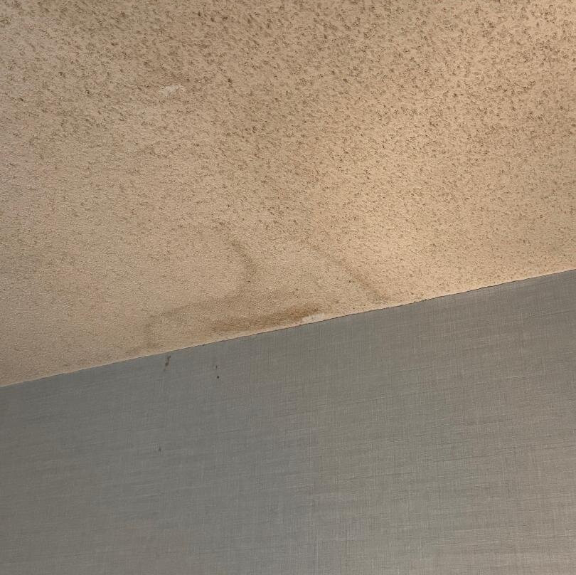 基恩斯维尔希尔顿恒庭酒店主图