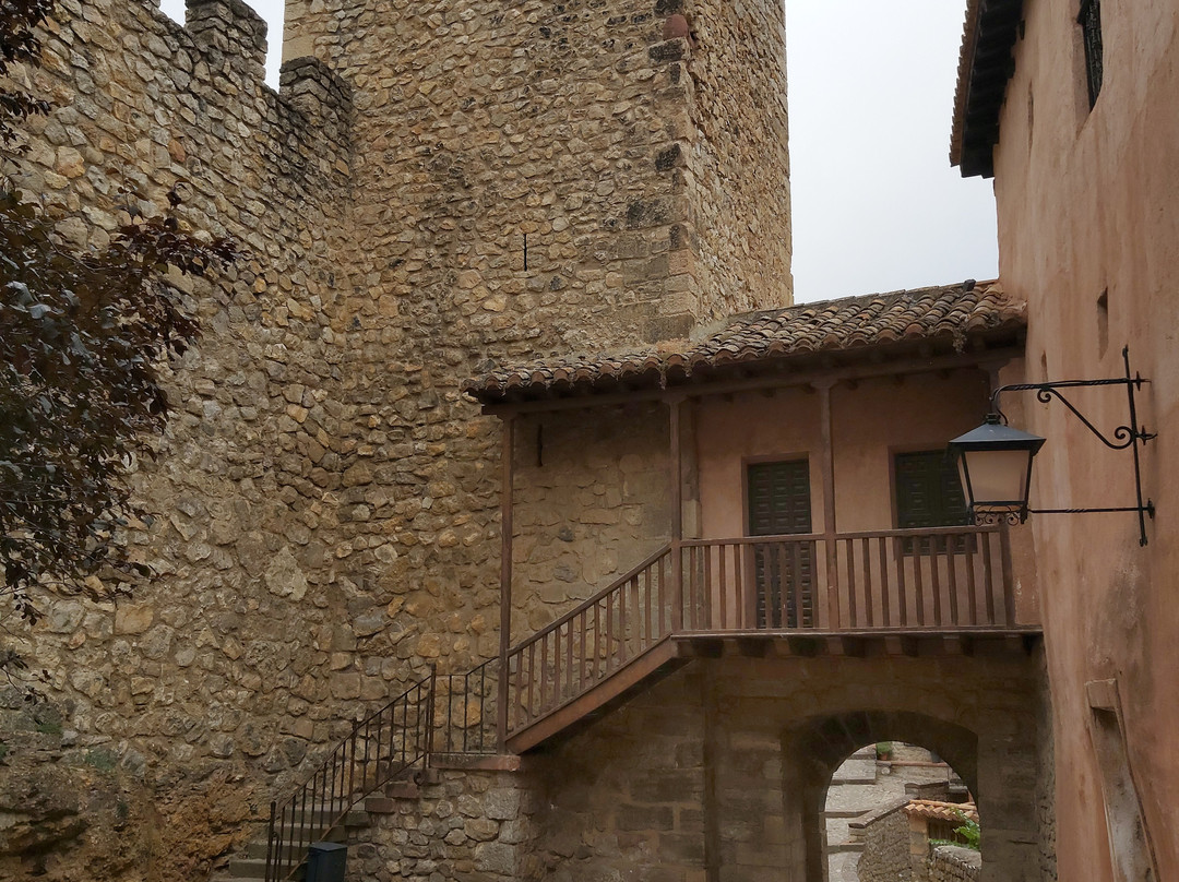 Calle Portal de Molina景点图片