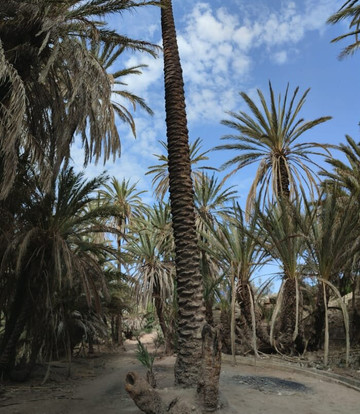Berberlands - Day Tours-索维拉必去景点