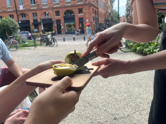 Taste of Toulouse-图卢兹必去景点